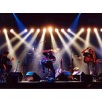 29-04-2011 - goldstar_tv - donauinselfest STS_live.jpg